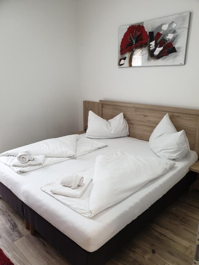 Cityapartment Monika Schladming Εξωτερικό φωτογραφία